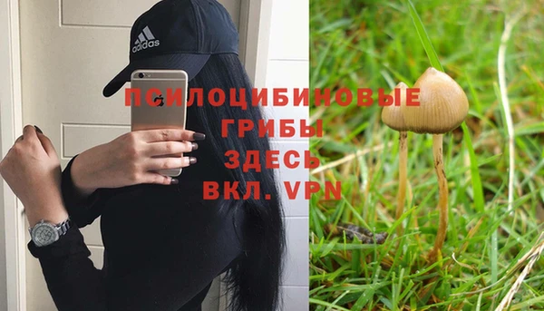скорость Арсеньев
