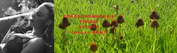jwh Аркадак