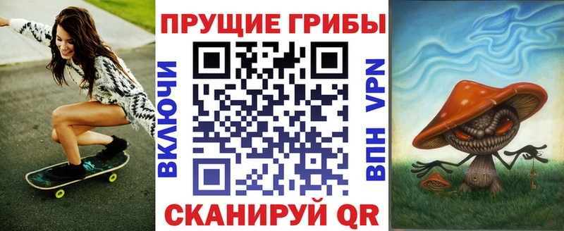 закладка  Армянск  Псилоцибиновые грибы GOLDEN TEACHER 